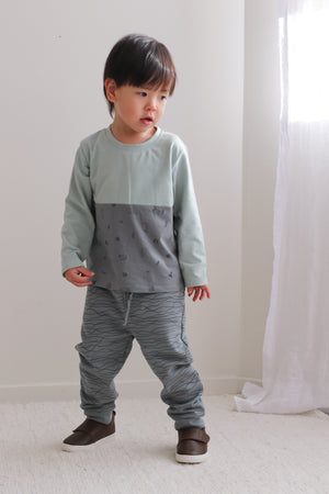 Track Pants - Terrain