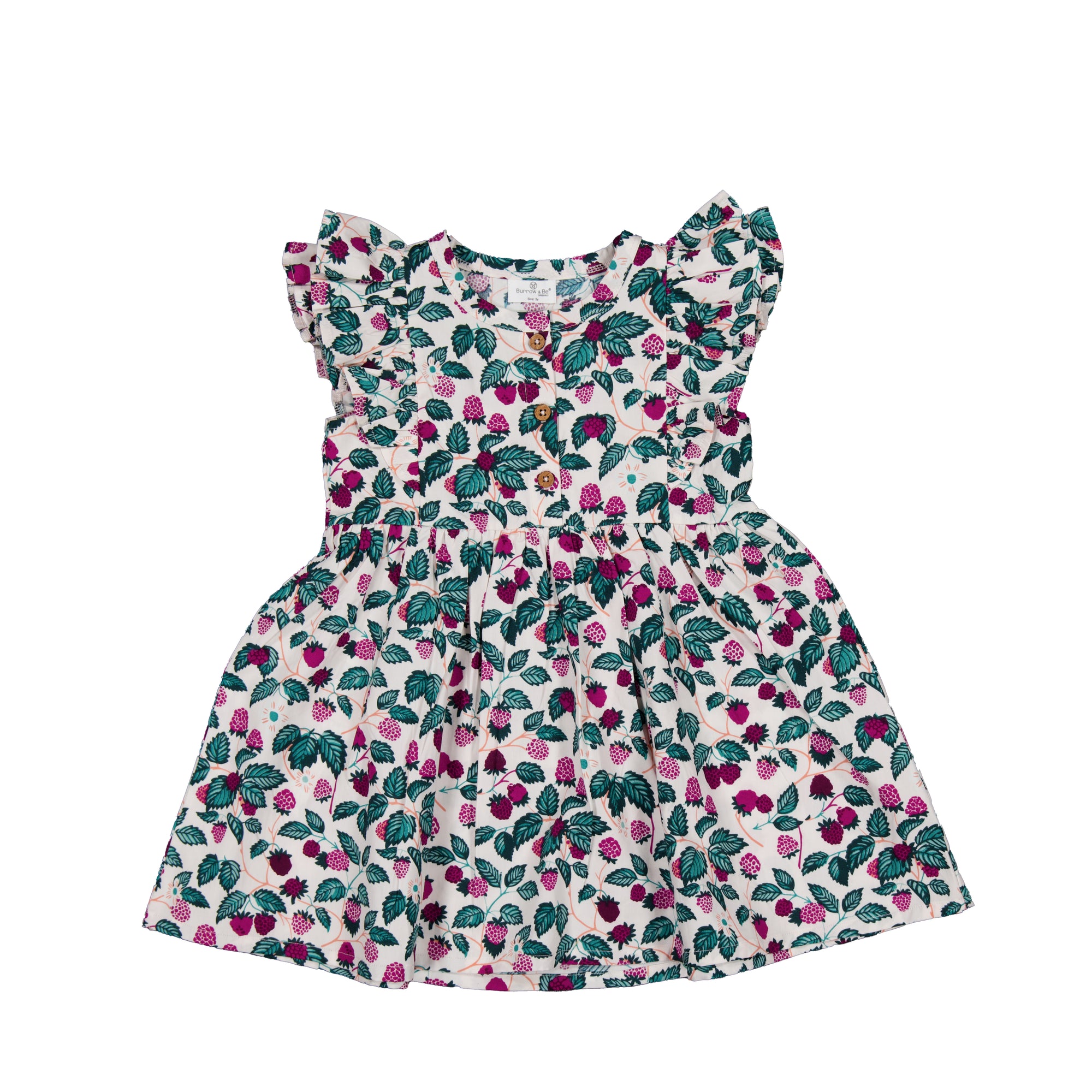 Berry Nice Hazel short sleeve dress