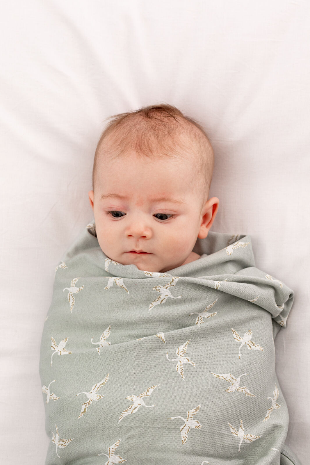 Swan Flight swaddle blanket