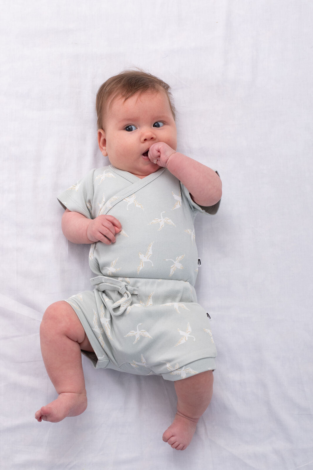 Swan Flight Short Sleeve Kimono Bodysuit