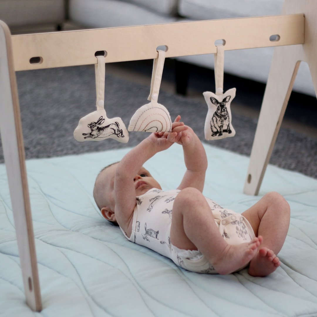 Organic baby rattles; organic newborn baby rattles